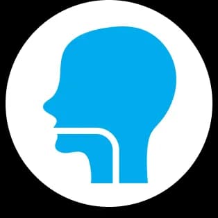 backbone