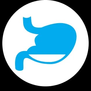 backbone