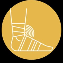 Ligament & Tendon Care