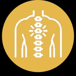 Spine Care